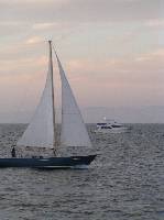 P7040030
