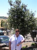 P7060098
