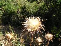 P7070141