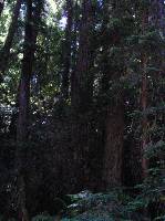 P7080149