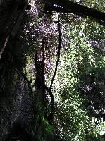 P7080156