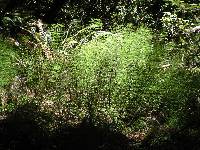 P7080157