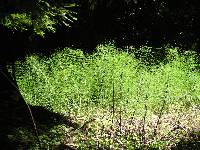 P7080161