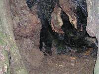 P7080170