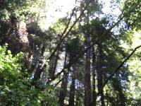 P7080171